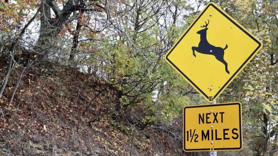 5 Key Reasons You’ll Hit a Deer With Your Vehicle — This November!