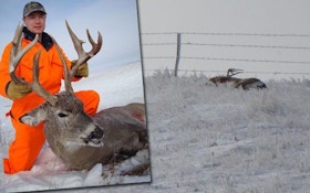 How I Missed My Dream Buck — Three Times