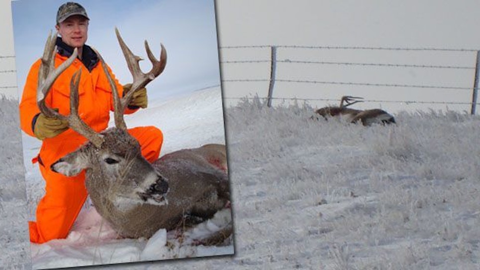 How I Missed My Dream Buck — Three Times