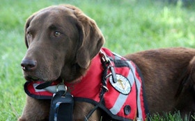 Famous duck hunting dog monitors his owner’s health
