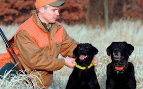 New Hunting Dog Products for 2011