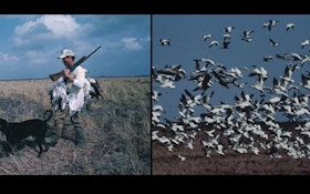 Deadly Snow Goose Hunting Technique