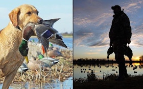 Duck Hunting With A Camera