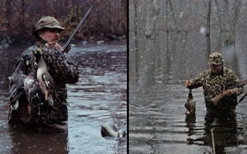 How Weather Affects Waterfowl