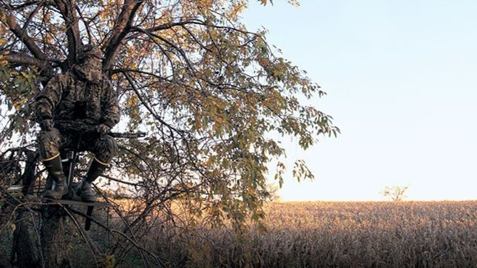 Bowhunting's 3 Best Stands For The Opener