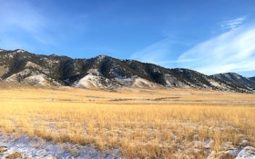 Elk Are Leaving the Mountains in Favor of the Open Plains