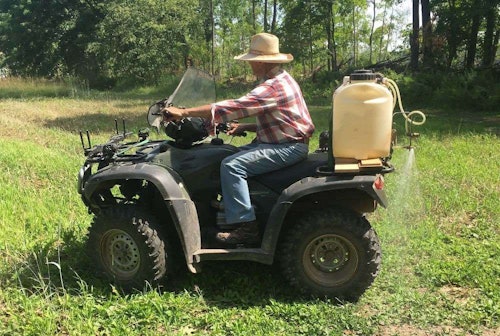 Shown here is the author’s dad killing weeds on an old food plot. He sprayed in mid-July and will plant brassicas in early August.
