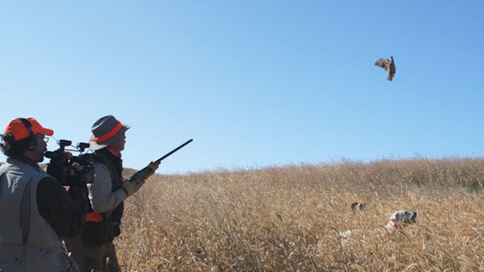 Acoustics Can Confuse Your Hunting Dog