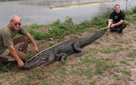 Shot placement nets the 22nd largest gator taken