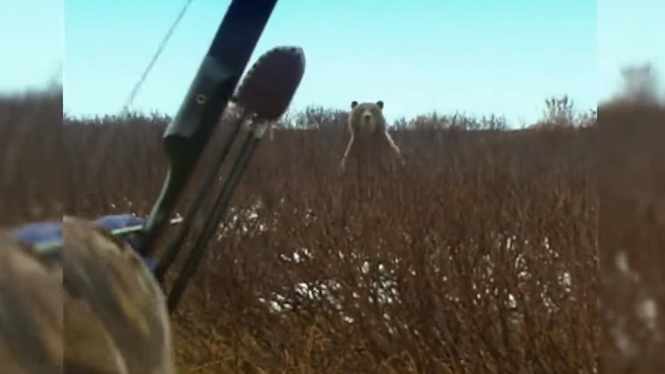 Bowhunting Video: Decision Time — Big Grizzly Stands, Facing You at Close Range