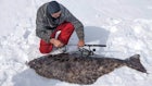 Video: Ice Fishing Anglers Triple-Team a 112-Pound Halibut