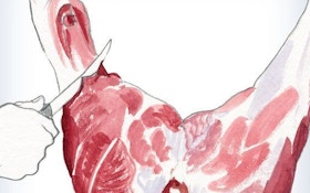 Deer processing: How to remove the hams and sirloins