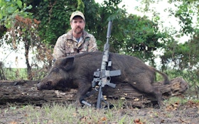 Missouri Bans Feral Hog Hunting On Conservation Land