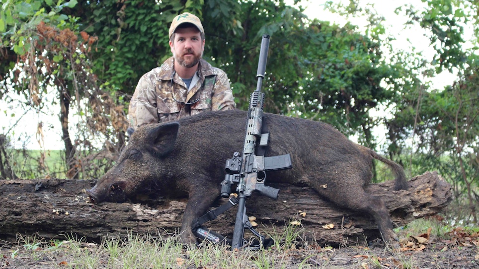 Missouri Bans Feral Hog Hunting On Conservation Land
