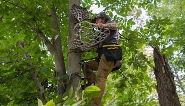 Whitetail Hunting 101: 3 Tips for Choosing the Right Treestand Height