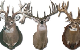 Whopper Whitetails — The Biggest Bucks On Record