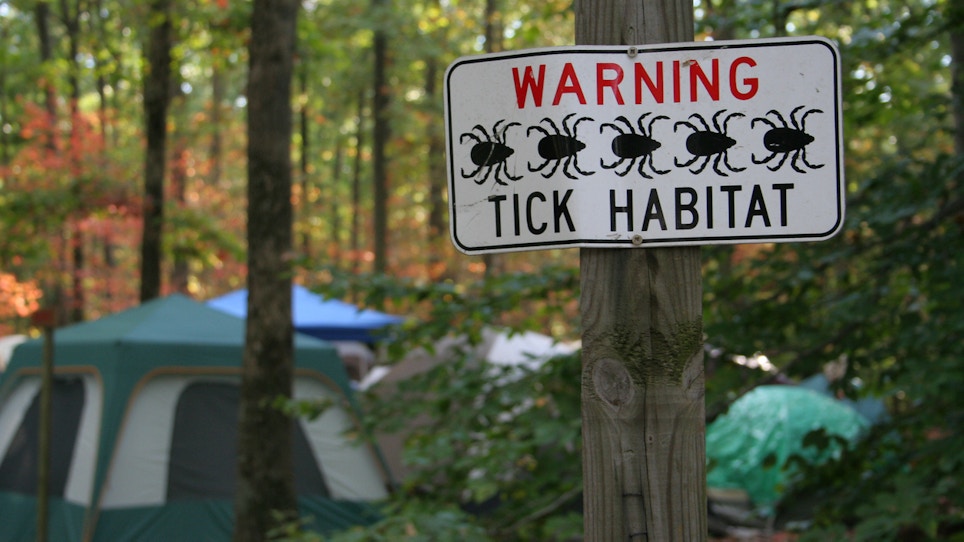 Powassan and Other Tick-Borne Diseases Are Sweeping The U.S.