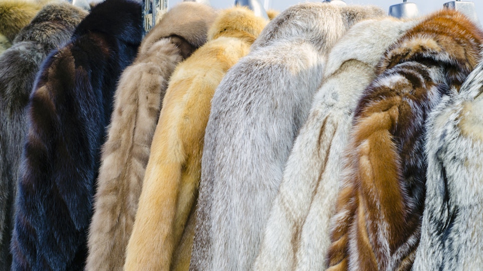 Video: Exposing fake news about fake fur