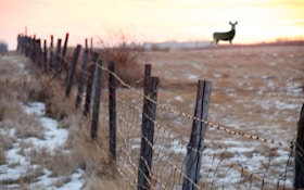 Three Reasons Our Ecosystem Needs More Deer Hunters