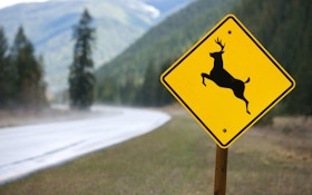 Deer-Crossing Signs Mean Great Coyote Hunting Nearby