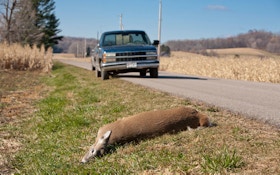 Deer-Car Collisions Ranked By State