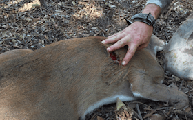 Life Of A Bowhunter 2016: Day 17