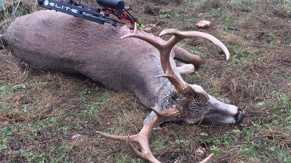 The Life Of A Bowhunter In Deer Season: Day 19