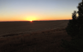 Life Of A Bowhunter 2016: Day 26
