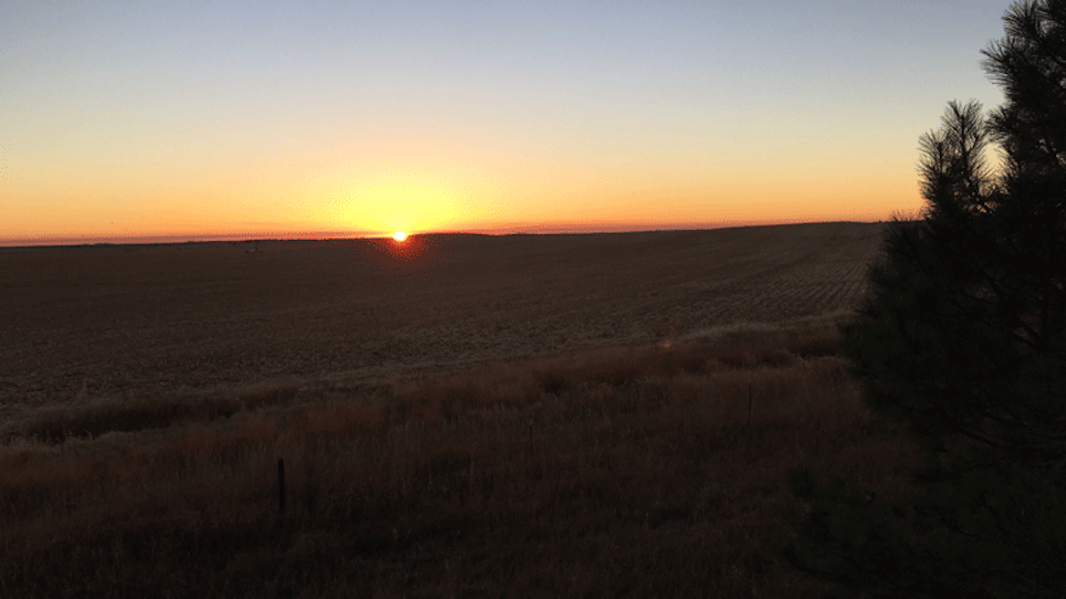 Life Of A Bowhunter 2016: Day 26