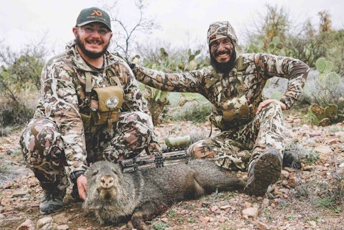 The author's brother arrowed a javelina during the pair's Coues adventure.