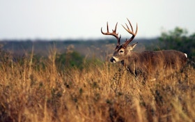 Mossy Oak’s Cuz Strickland Giving Away Texas Whitetail Hunt