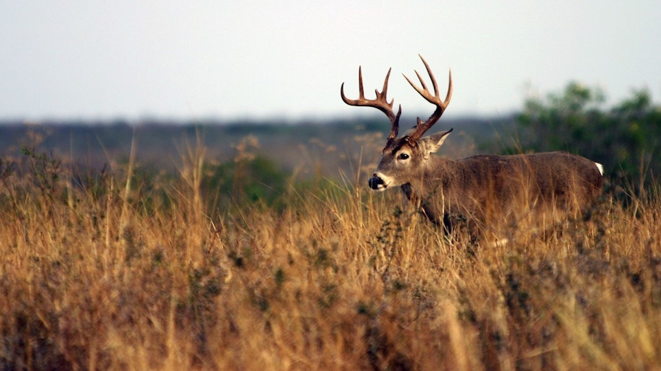 Mossy Oak’s Cuz Strickland Giving Away Texas Whitetail Hunt