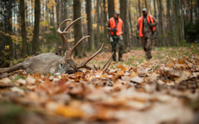 10 Solutions for Rut-Hunting Problems