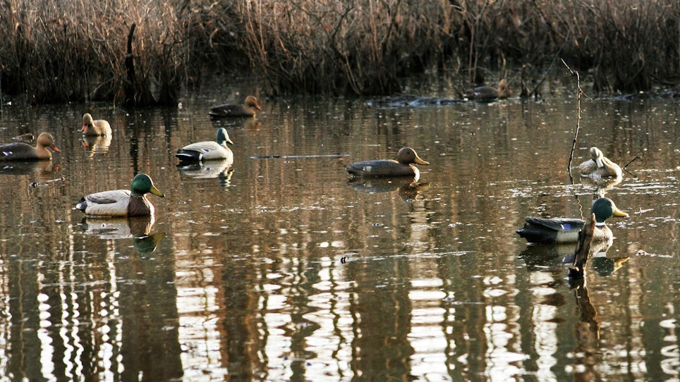 4 fun facts about vintage waterfowl decoys