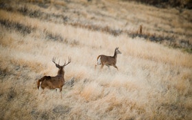 Making the Second Rut Work — Part 1