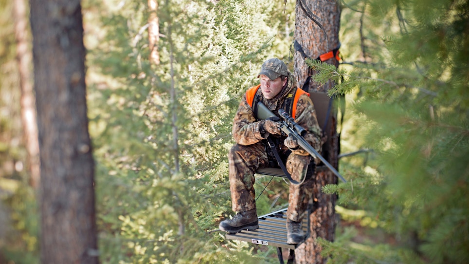 Does Passing Gas on the Treestand Scare the Deer Away?