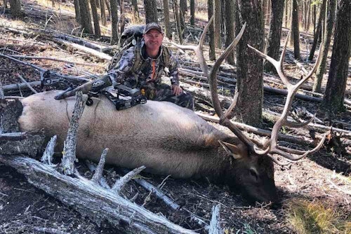 In 2020, the author was on his third foray into the same general unit of Montana, but activity disappeared. Kayser followed a tip from another hunter and moved his camp to tag out on this public-land, general-unit bull, his third in a row while bowhunting general units on a general Montana elk tag.
