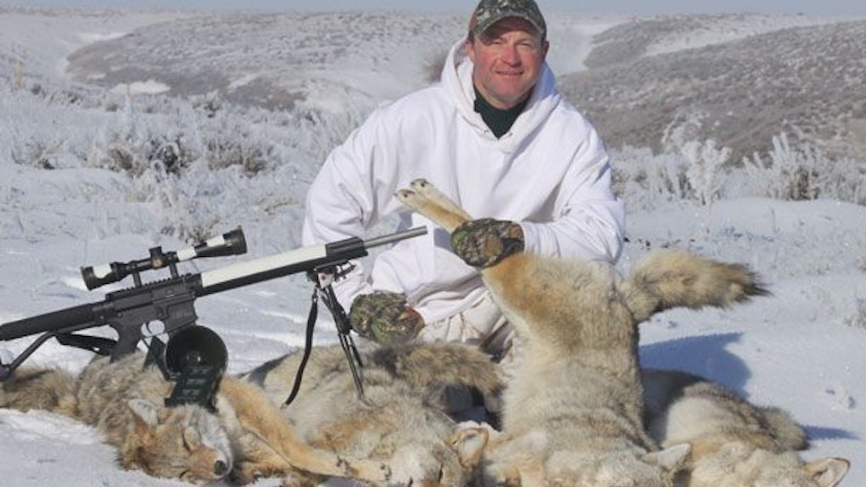 Tips for Hunting Coyotes in Deep Snow