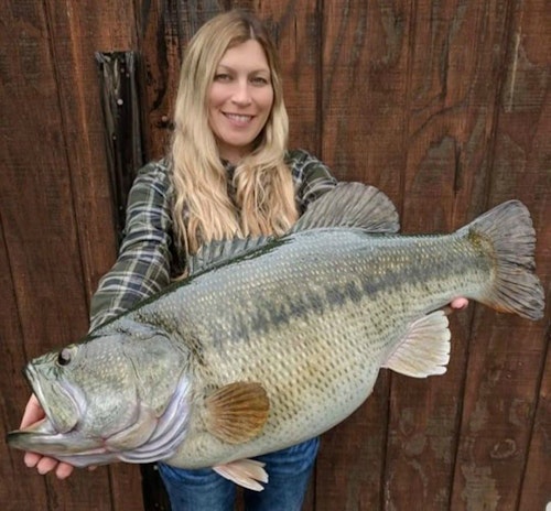 According to Jimmy Lawrence, this California largemouth replica was for a young lady as an anniversary gift from her boyfriend. He requested the altered fins and bug eyes to match her specific bass. The fish was 25 inches long with a 22.5-inch girth.