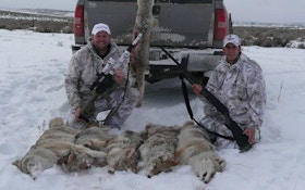 Hunt Harder for Late Season Coyotes