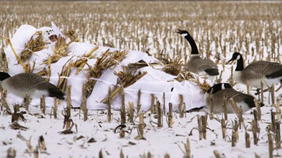 Prepping your layout blind for duck season