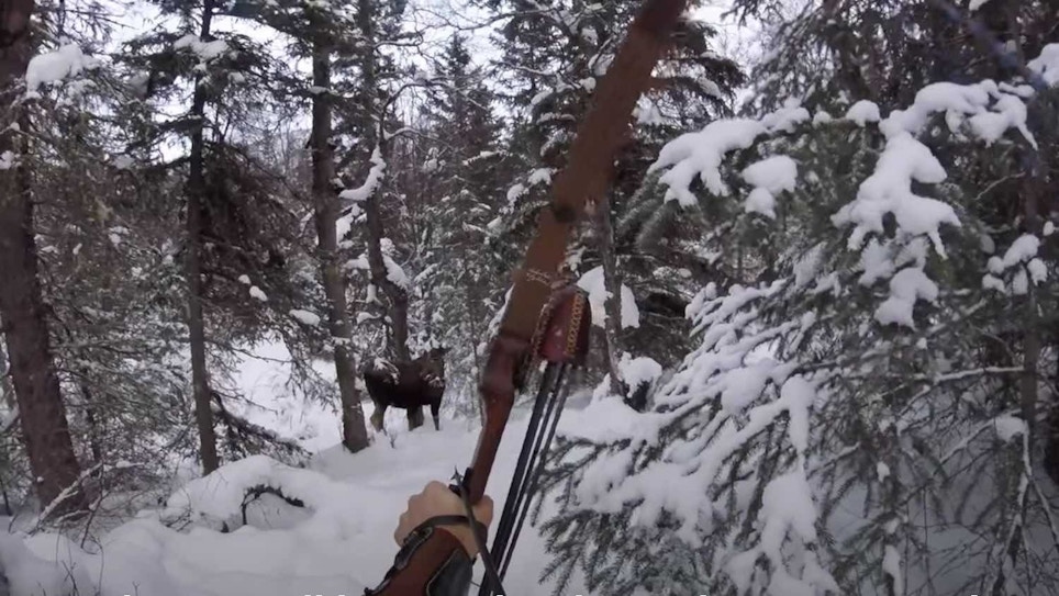 Self-Filmed Video: Spot-and-Stalk Moose With a Recurve