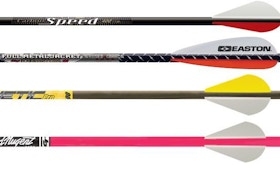 New Arrows for 2011