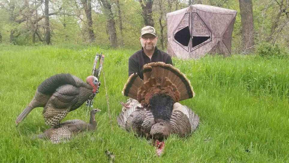 Wild Turkey Tip: Don’t Leave for Lunch