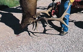 The proper gear for Western elk—part II
