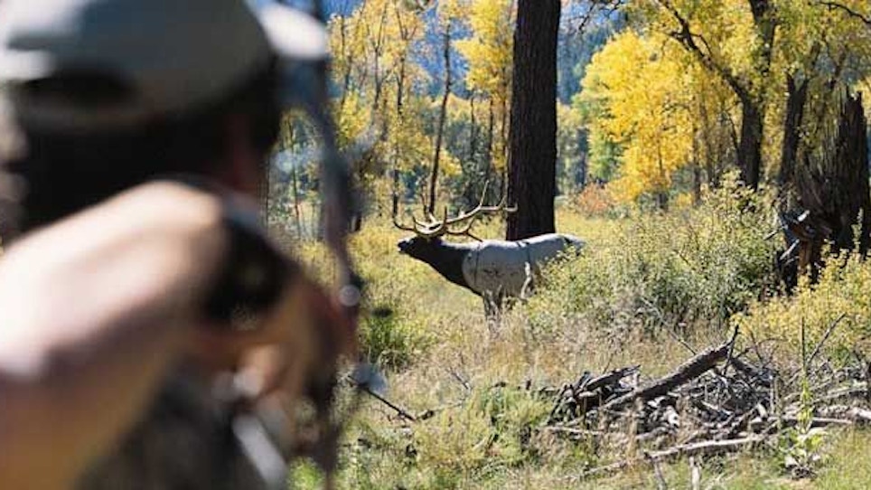 The proper gear for Western elk—part IV