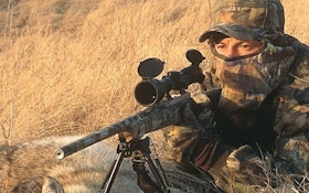 Coyote Hunting Tactics for Open Country