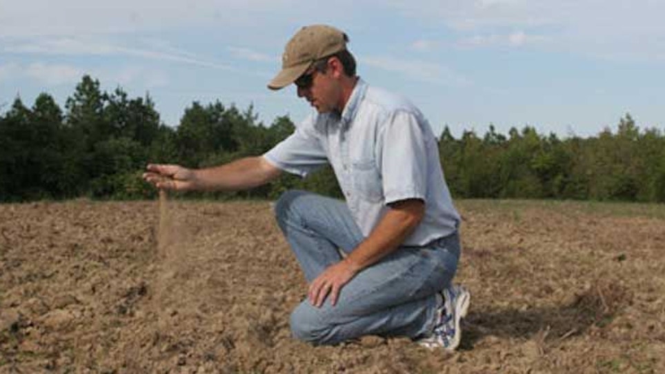 How to plant food plots in a drought
