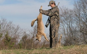 Does Predator Control Help Your Deer Population?
