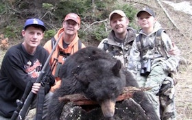 Spring Black Bear Hunting In Montana